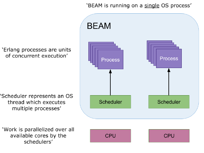 BEAM Processes